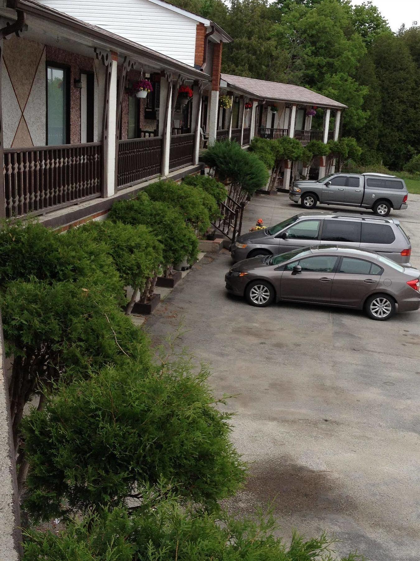 Cedar Springs Motel Acton Kültér fotó